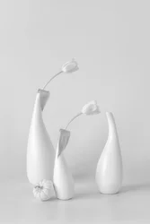 Tulipani bianchi minimalisti
