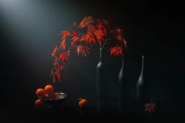 Natura morta autunnale malinconica