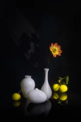 Fiore e frutto suggestivi