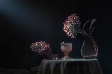Natura morta suggestiva con ortensie