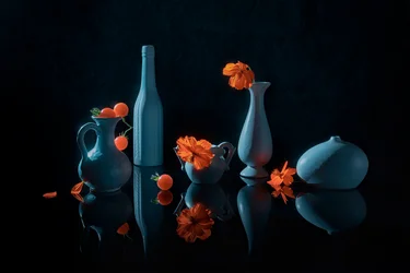 Fiori arancioni, vasi blu