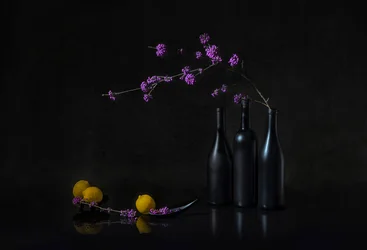 Natura morta scura con bacche viola