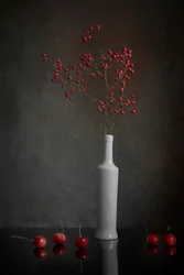 Natura morta con bacche rosse