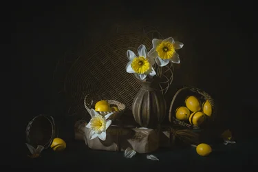 Narcisi primaverili e limoni