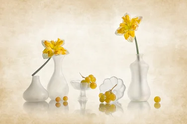 Narcisi gialli e uva