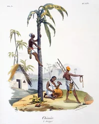 Un uomo della casta Nadar che scala una palma, 1827-35