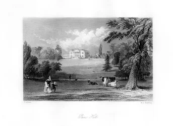 Pains Hill, Surrey, XIX secolo