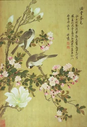 Melo selvatico, magnolia e uccelli Baitou