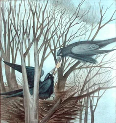 Due corvi che si nutrono su un albero