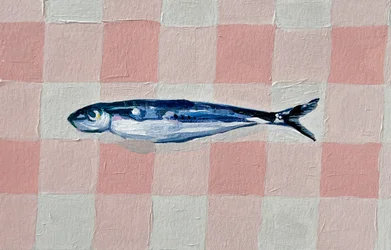 Sardina a quadretti rosa