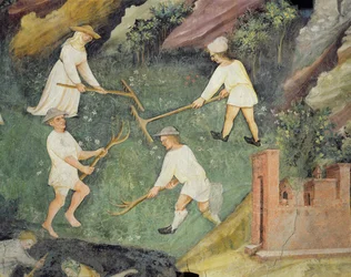 Fienagione nel mese di giugno (dettaglio)