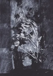 Natura nera