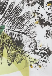 Strati di scrittura botanica