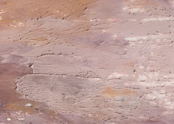 Texture della terra secca