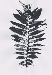 Elegant Fern Leaf