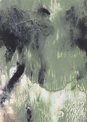 Fluid Green - Estratto