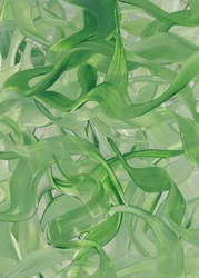 Vortici verde fluido