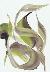 Un flusso armonioso e naturale