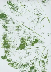 Impronta della foglia verde
