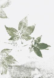 Impressioni di Green Leaf