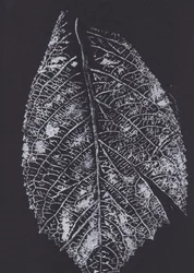 Motivo monocromatico di foglie