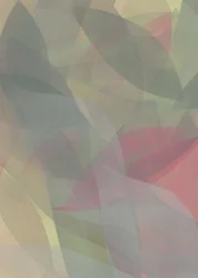 Strati organici tenui