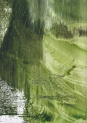 Flusso verde biologico