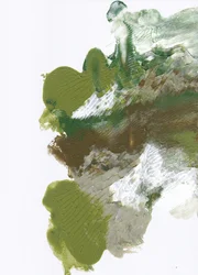 Flusso verde biologico