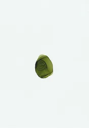 Fluido verde biologico