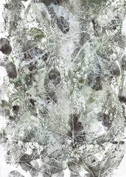 Impronte di foglie biologiche