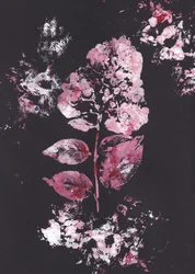 Impressione botanica rosa