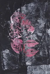 Fioritura rosa materica