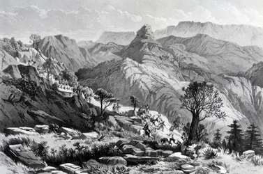 In marcia vicino a Dongolo, inciso da James Ferguson, 1868