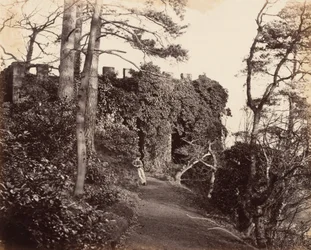 A Winterdyne sul Severn, 1860 (foto)