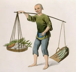 Un ragazzo con verdure, tavola 54 da 