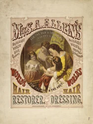 Restauratore di capelli del mondo di Mrs. S. A. Allen, 1865