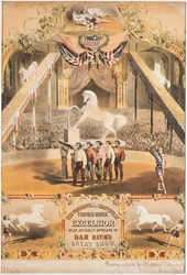 Il meraviglioso e bellissimo cavallo addestrato Excelsior, c.1840