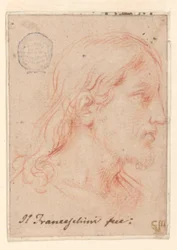 Testa di Cristo