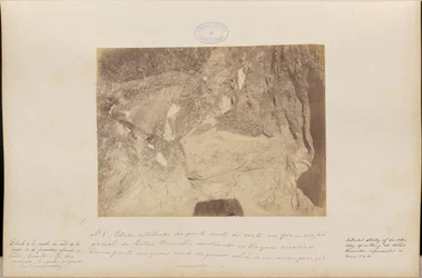 Studio dettagliato della parte settentrionale della carta nella formazione glaciale di Red Gate