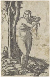 Venere sulla riva che strizza l