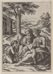 Madonna sotto una Palma
