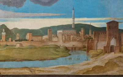 Dettaglio della città di Vicenza
