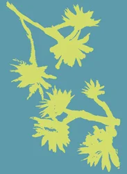 Succulenta_2, 2022 (inchiostro su carta)