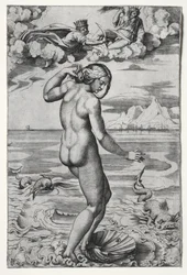 La nascita di Venere, c. 1516
