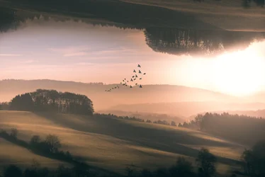 Volo sulle colline invertite avvolte dalla nebbia