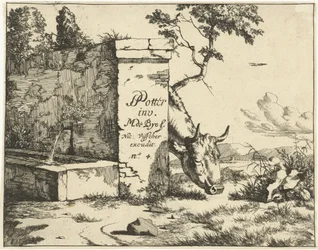Bovino che pascola dietro un muro Bovini (serie)