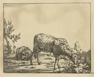Pecora che pascola e pecora sdraiata vicino a un recinto (serie Schapen)