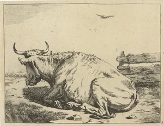 Mucca sdraiata vicino a una recinzione Bovini (titolo della serie)
