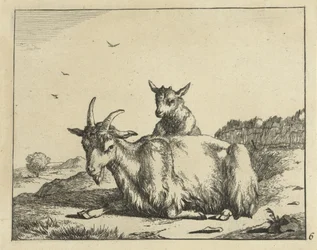 Capra sdraiata con agnello