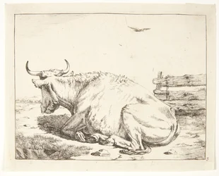 Mucca sdraiata